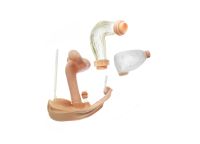 Weibliche Geschlechtsorgane mit Harnblase Weibliche Geschlechtsorgane mit Harnblase