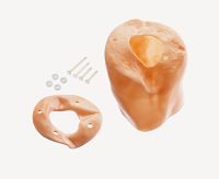 Oberschenkelbinde, links Oberschenkelbinde, links