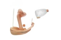 Weibl. Geschlechtsorgan ohne Mastdarm Weibl. Geschlechtsorgan ohne Mastdarm