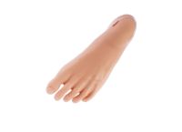 Fuß, links Fuß, links