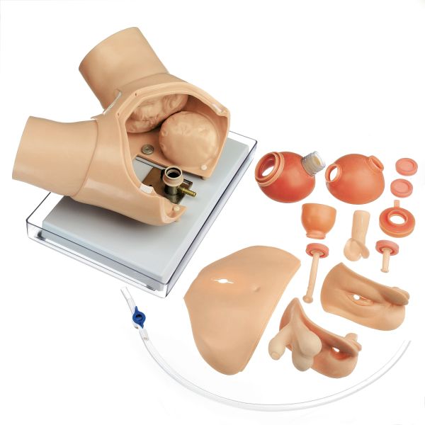 Urologisches Übungsphantom für endoskopische Operationen