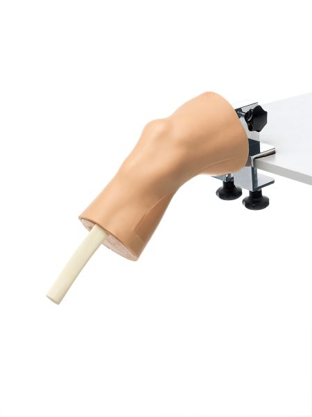 Arthroskopiemodell vom Kniegelenk