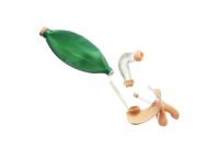 Männliche Geschlechtsorgane mit Blase Männliche Geschlechtsorgane mit Blase