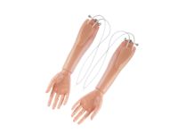 Unterarm mit Hand, rechts Unterarm mit Hand, rechts