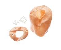 Oberschenkelbinde, rechts Oberschenkelbinde, rechts