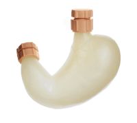 Magen mit Anus praeter Magen mit Anus praeter