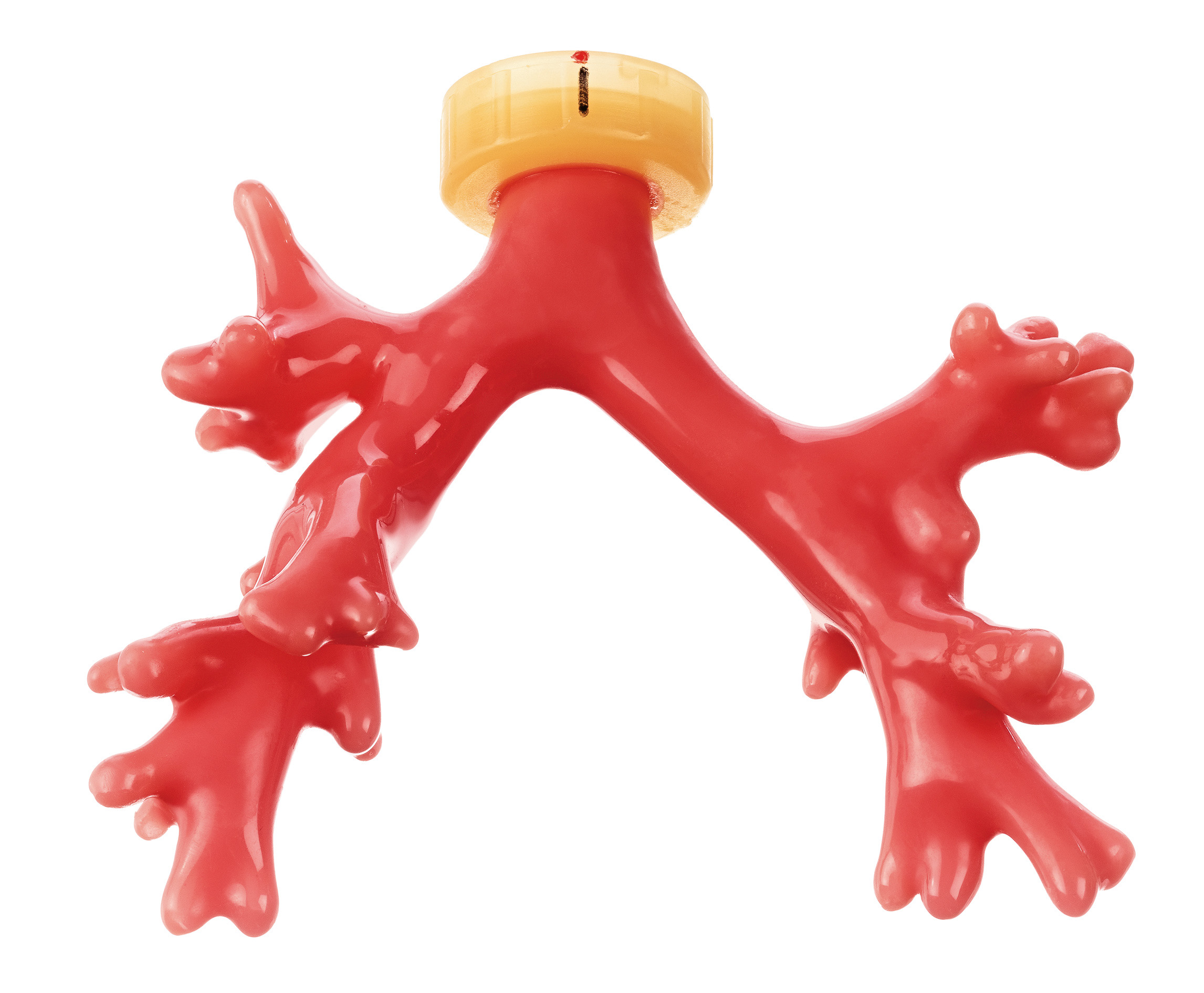 Bell Tree Inhaler Bronchial tree, healthy | Individual Components | Intubation | Medical ...