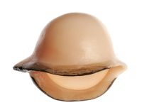 Augenlid, rechts Augenlid, rechts