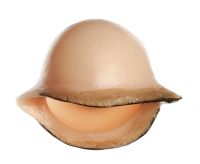 Augenlid, links Augenlid, links