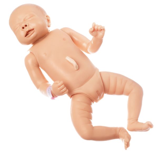 Intubation Phantom of New-Born Baby