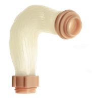 Mastdarm mit Afterventil Mastdarm mit Afterventil