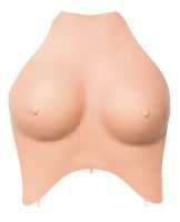 Weibliche Brustdecke Weibliche Brustdecke