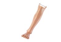 Unterschenkel mit Fuß, links Unterschenkel mit Fuß, links