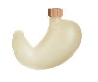 Magen mit Patentverschluss Magen mit Patentverschluss