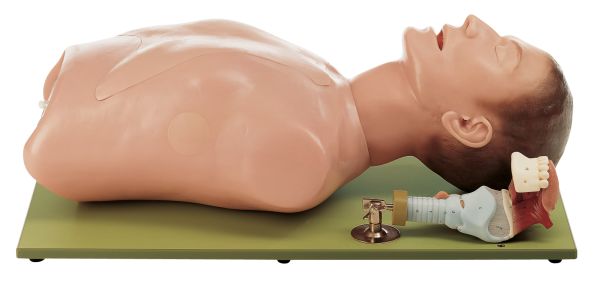 Intubationsphantom - Grundmodell mit Kehlkopfmodell (ohne Koffer)